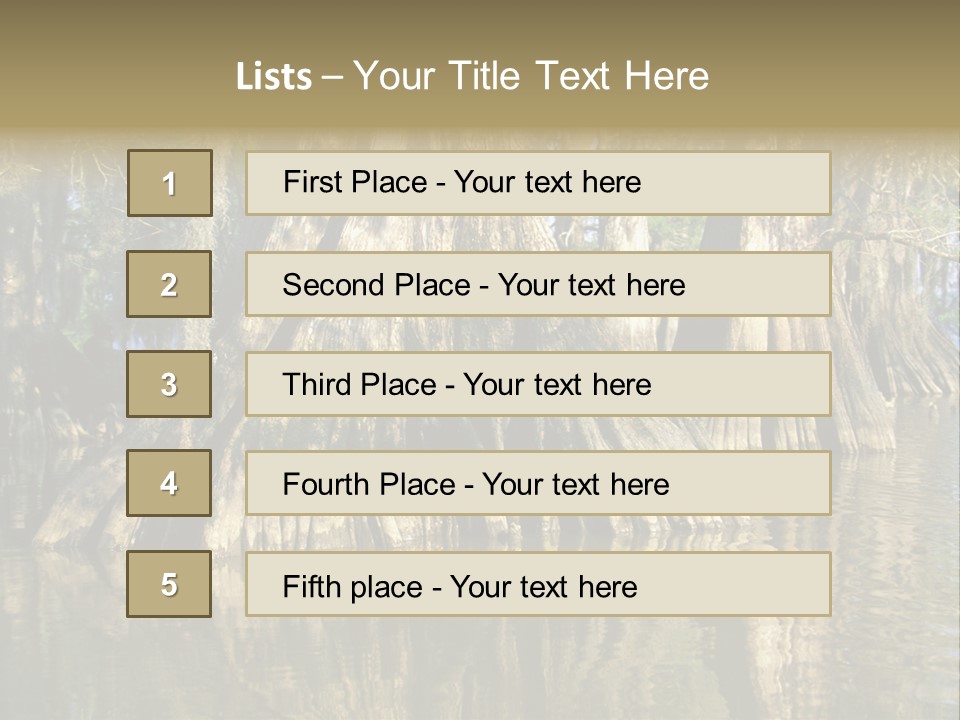 Usa Outdoors Bayou PowerPoint Template