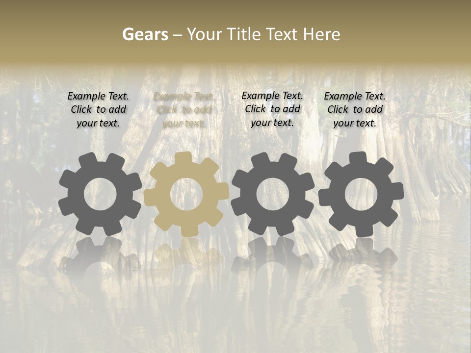 Usa Outdoors Bayou PowerPoint Template