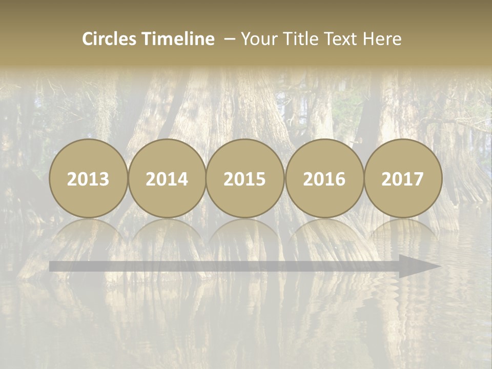 Usa Outdoors Bayou PowerPoint Template