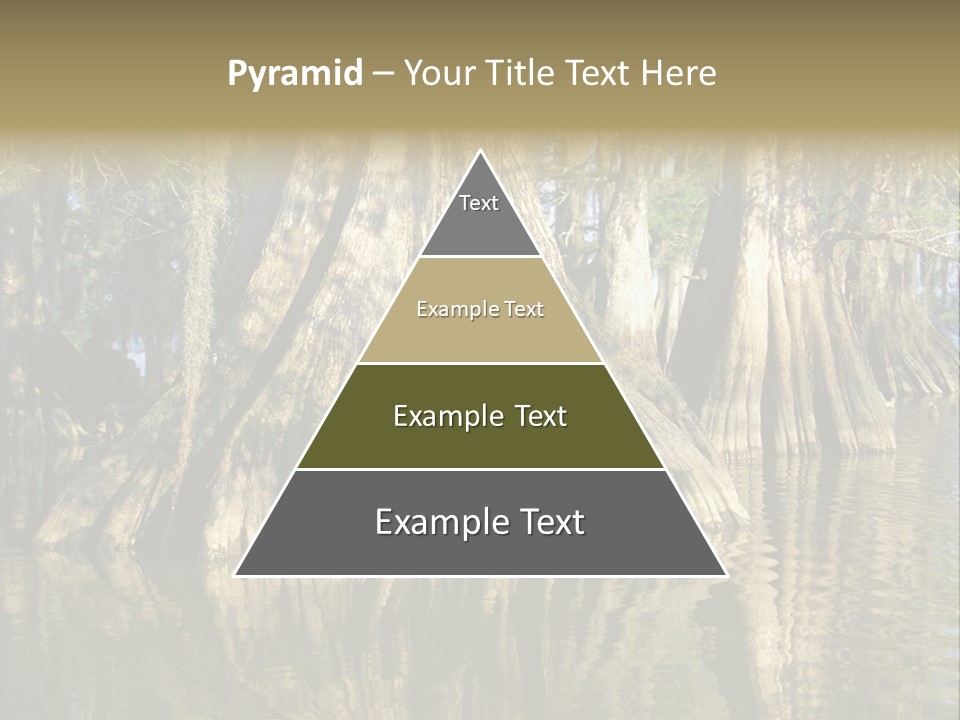 Usa Outdoors Bayou PowerPoint Template