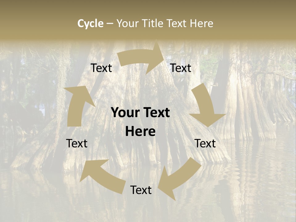 Usa Outdoors Bayou PowerPoint Template