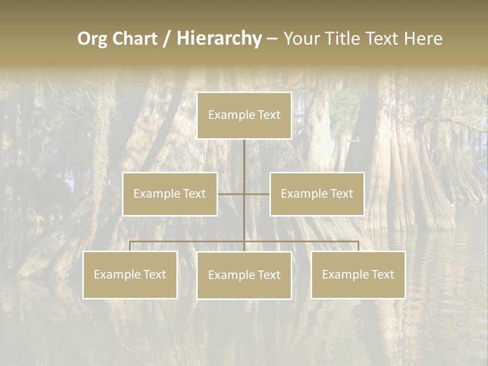 Usa Outdoors Bayou PowerPoint Template