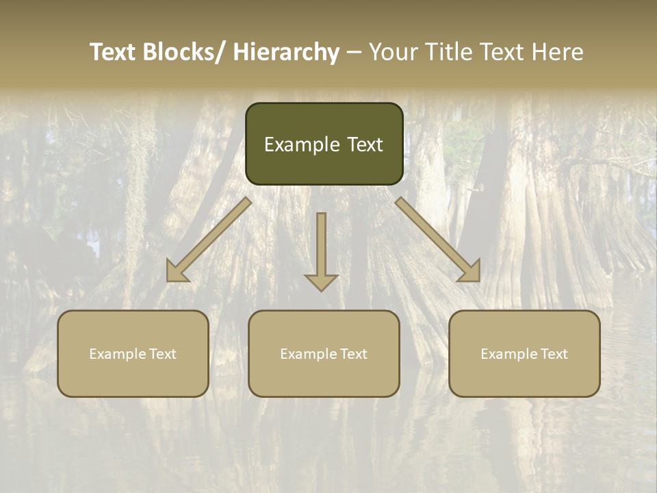 Usa Outdoors Bayou PowerPoint Template