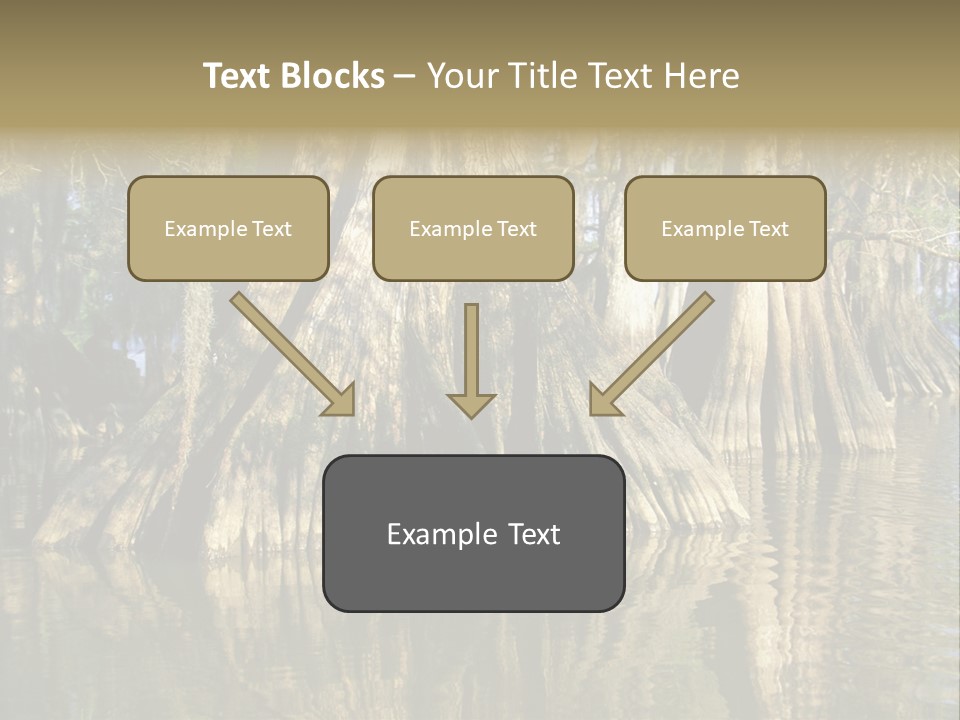 Usa Outdoors Bayou PowerPoint Template
