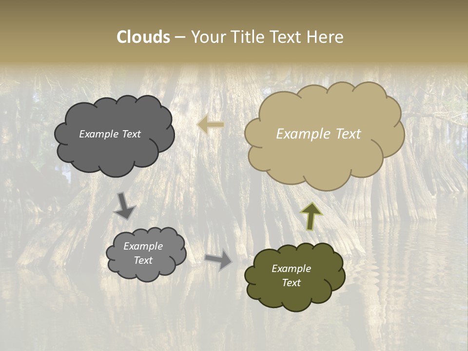 Usa Outdoors Bayou PowerPoint Template