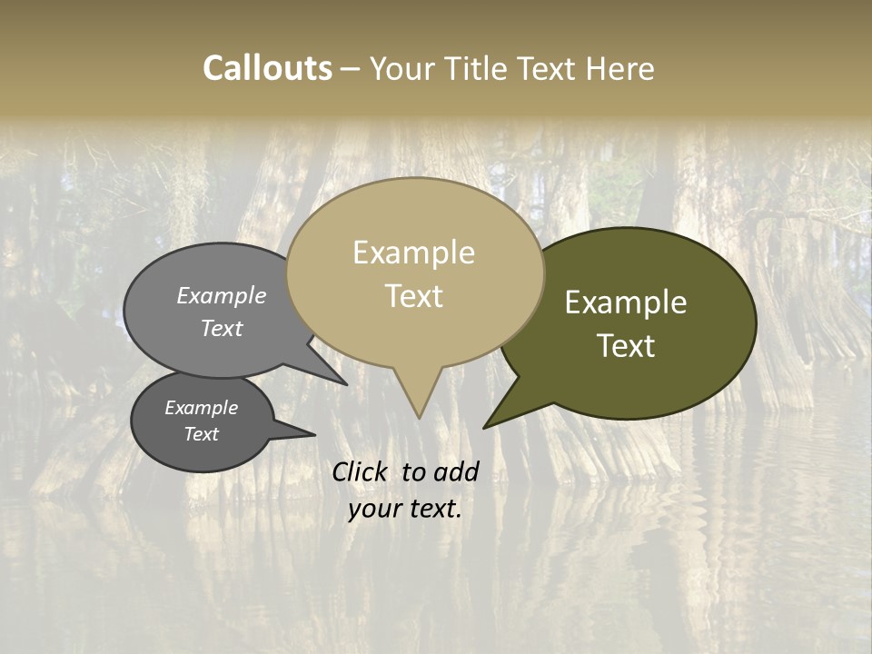 Usa Outdoors Bayou PowerPoint Template