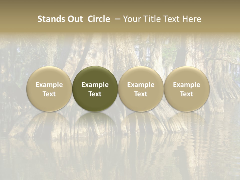 Usa Outdoors Bayou PowerPoint Template