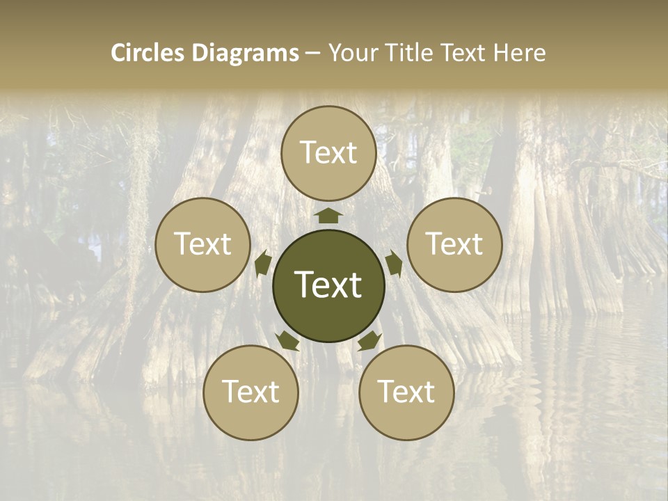 Usa Outdoors Bayou PowerPoint Template