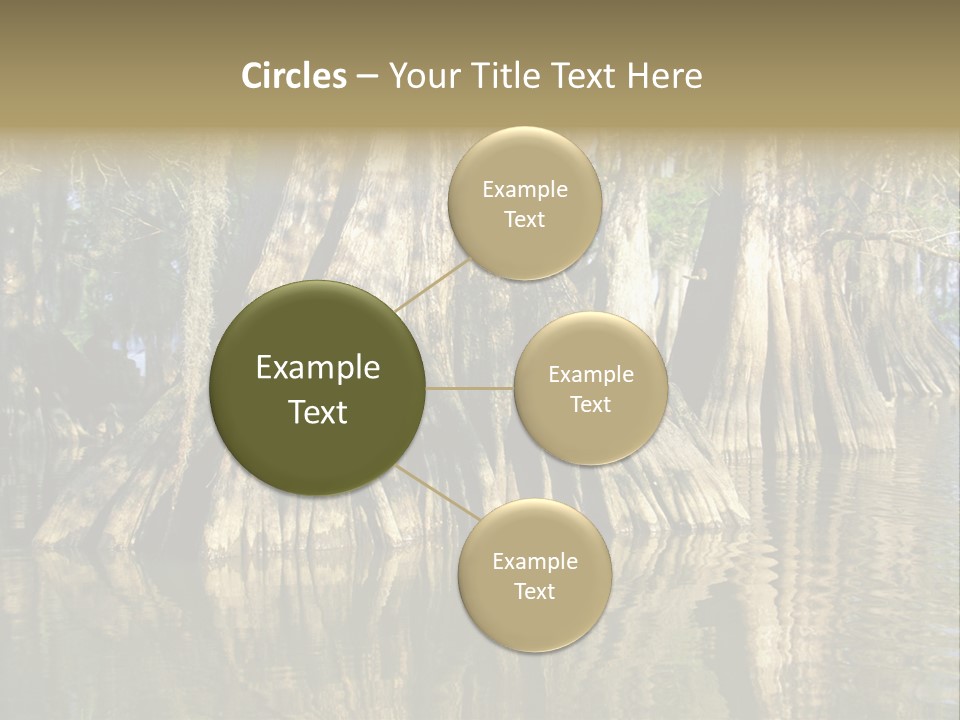 Usa Outdoors Bayou PowerPoint Template