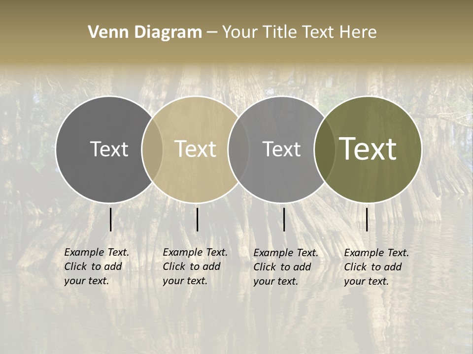 Usa Outdoors Bayou PowerPoint Template