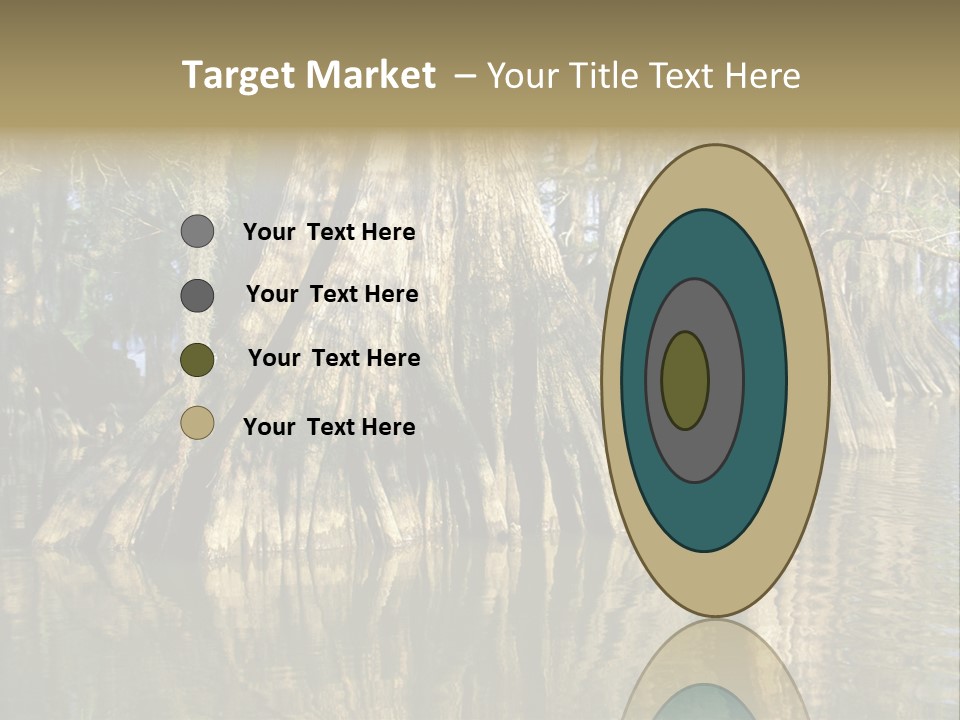 Usa Outdoors Bayou PowerPoint Template