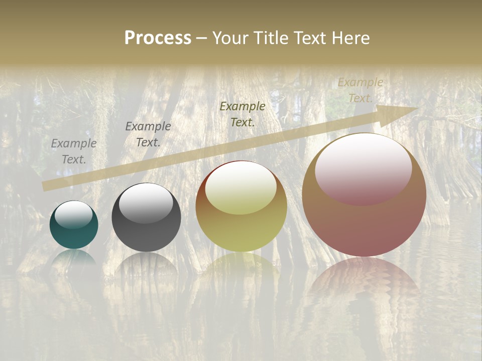 Usa Outdoors Bayou PowerPoint Template