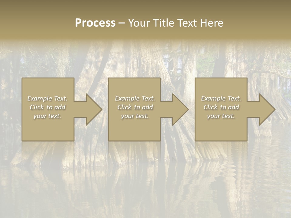 Usa Outdoors Bayou PowerPoint Template