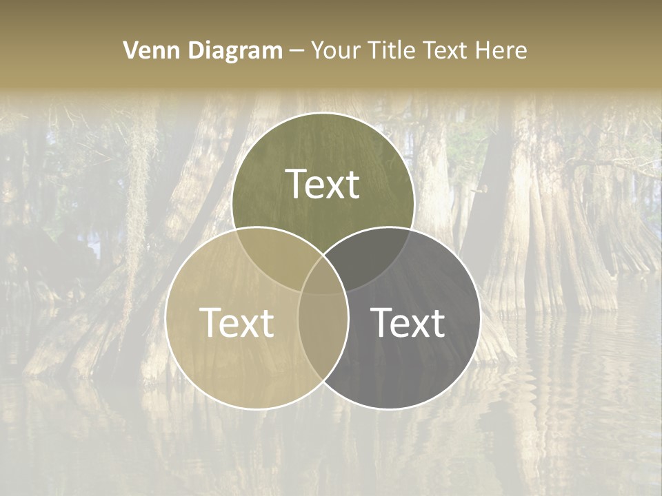 Usa Outdoors Bayou PowerPoint Template