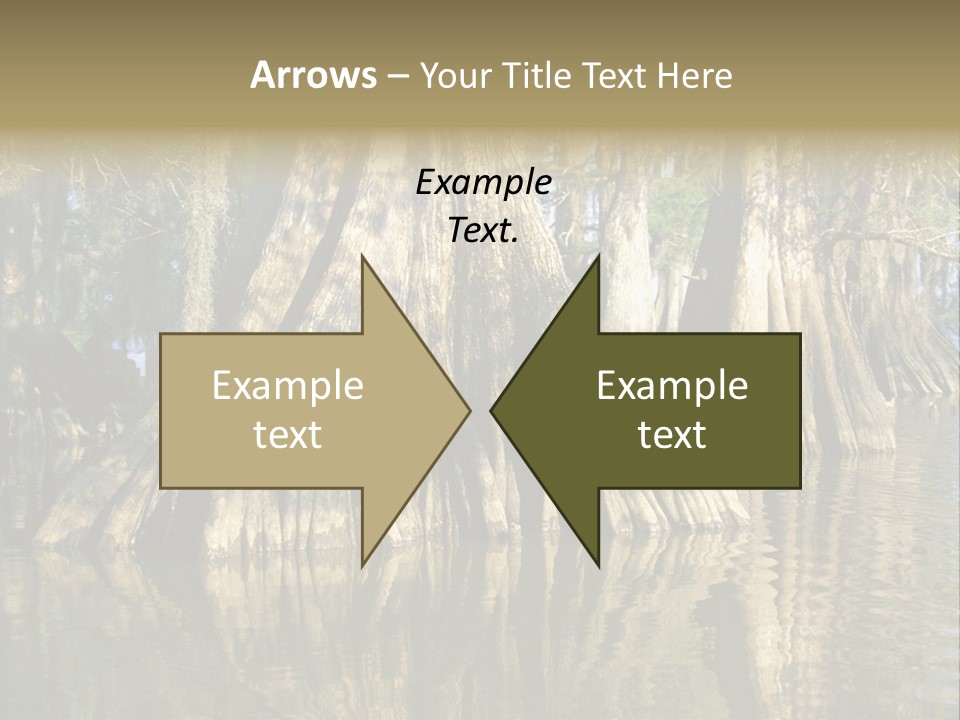 Usa Outdoors Bayou PowerPoint Template