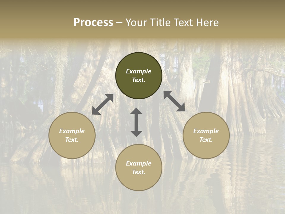 Usa Outdoors Bayou PowerPoint Template