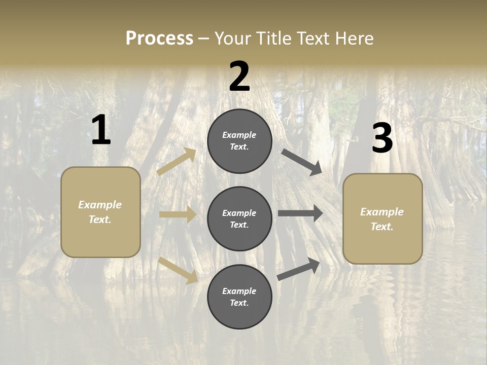 Usa Outdoors Bayou PowerPoint Template