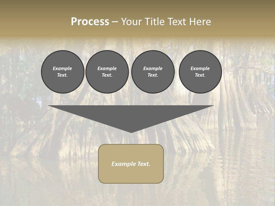 Usa Outdoors Bayou PowerPoint Template