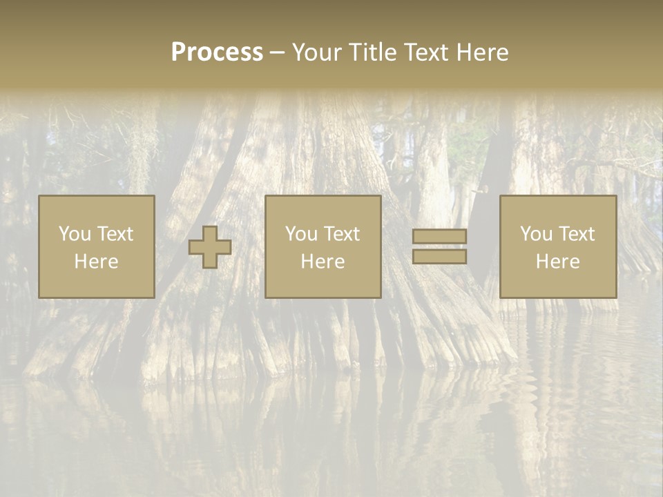 Usa Outdoors Bayou PowerPoint Template