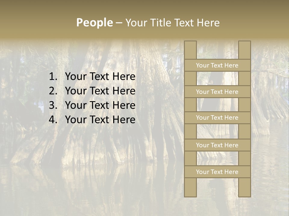 Usa Outdoors Bayou PowerPoint Template