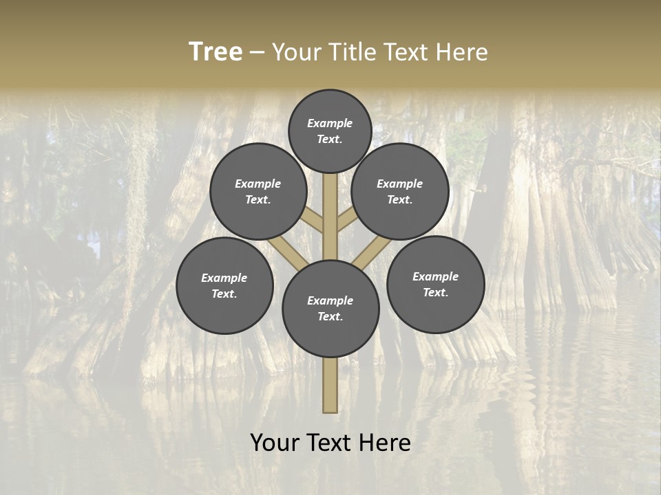 Usa Outdoors Bayou PowerPoint Template