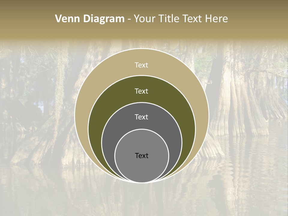 Usa Outdoors Bayou PowerPoint Template