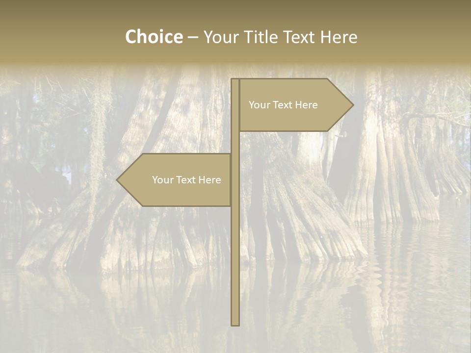 Usa Outdoors Bayou PowerPoint Template