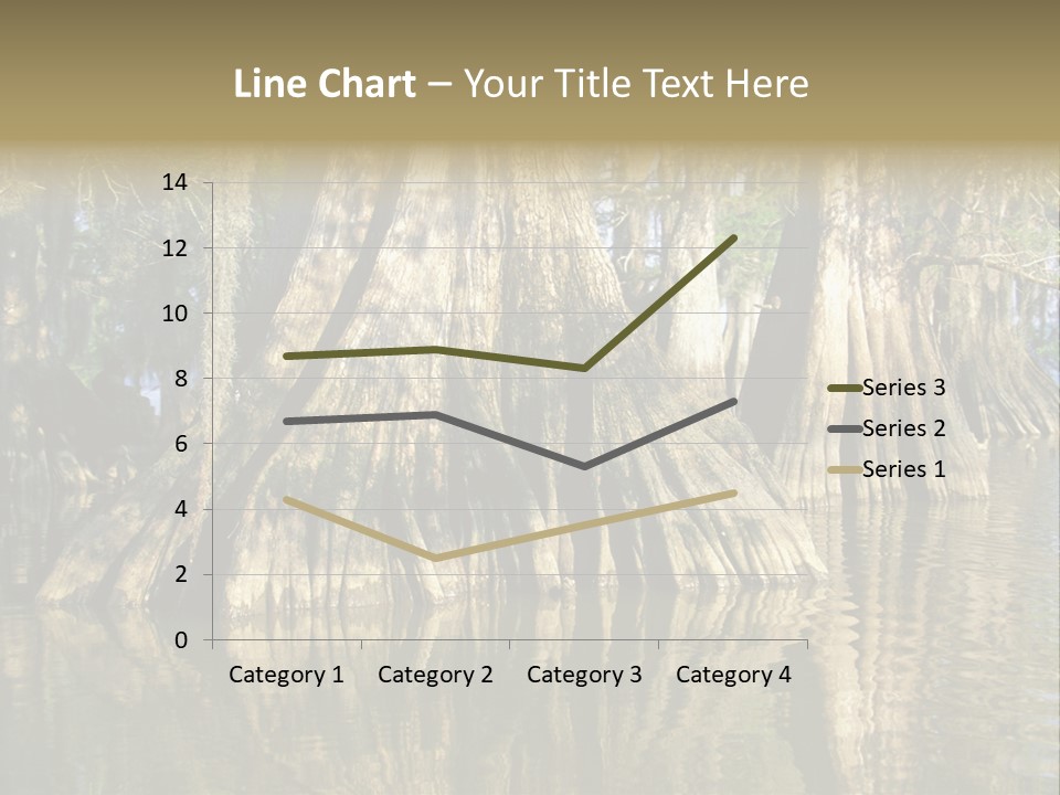 Usa Outdoors Bayou PowerPoint Template