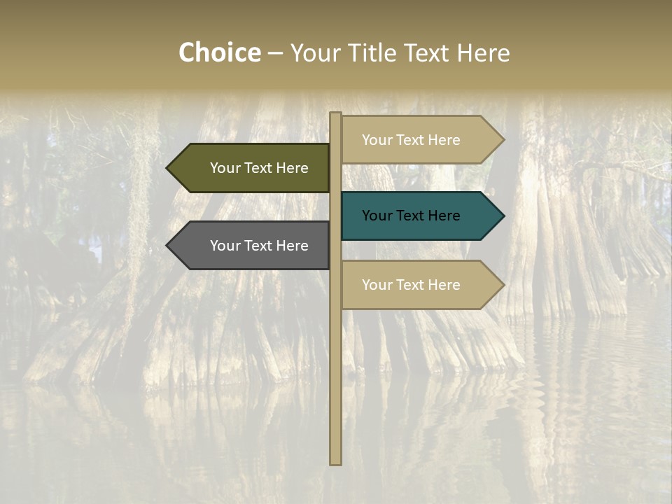 Usa Outdoors Bayou PowerPoint Template