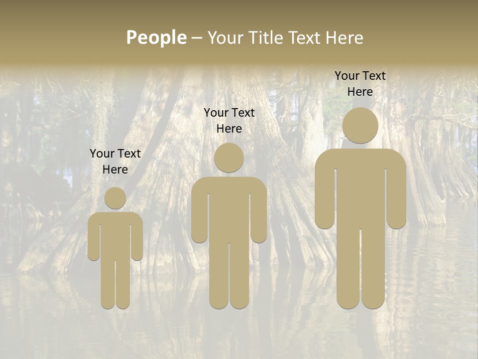 Usa Outdoors Bayou PowerPoint Template