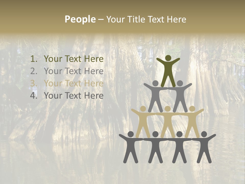 Usa Outdoors Bayou PowerPoint Template