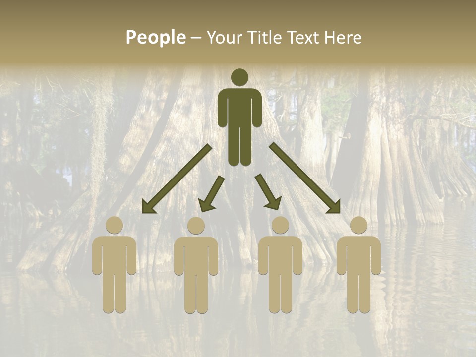 Usa Outdoors Bayou PowerPoint Template