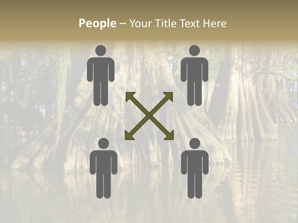 Usa Outdoors Bayou PowerPoint Template