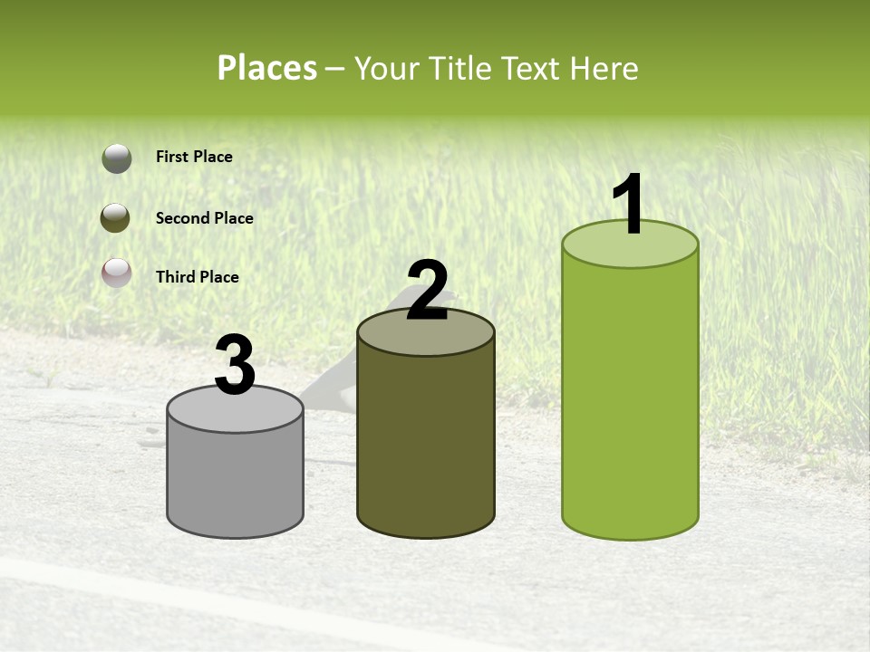 Magpie Highway Grass PowerPoint Template