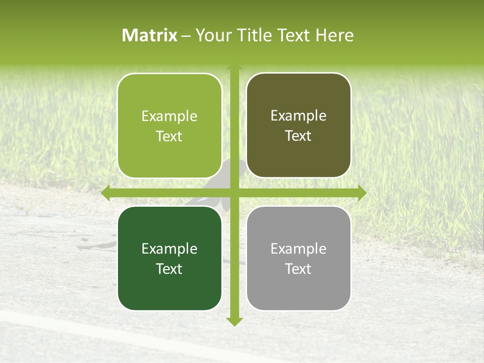 Magpie Highway Grass PowerPoint Template