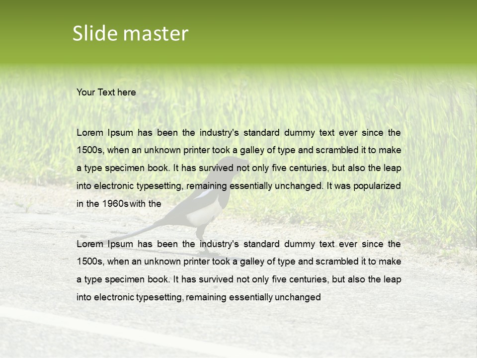 Magpie Highway Grass PowerPoint Template