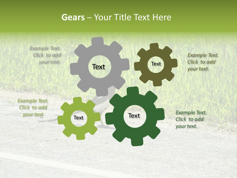 Magpie Highway Grass PowerPoint Template