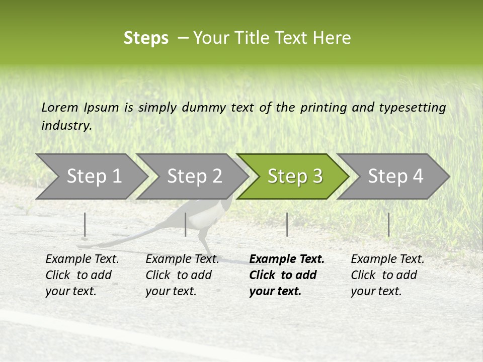 Magpie Highway Grass PowerPoint Template