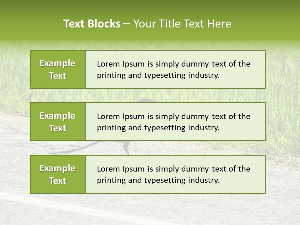 Magpie Highway Grass PowerPoint Template
