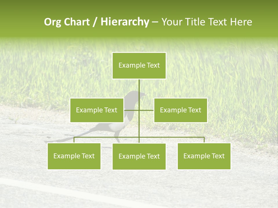 Magpie Highway Grass PowerPoint Template