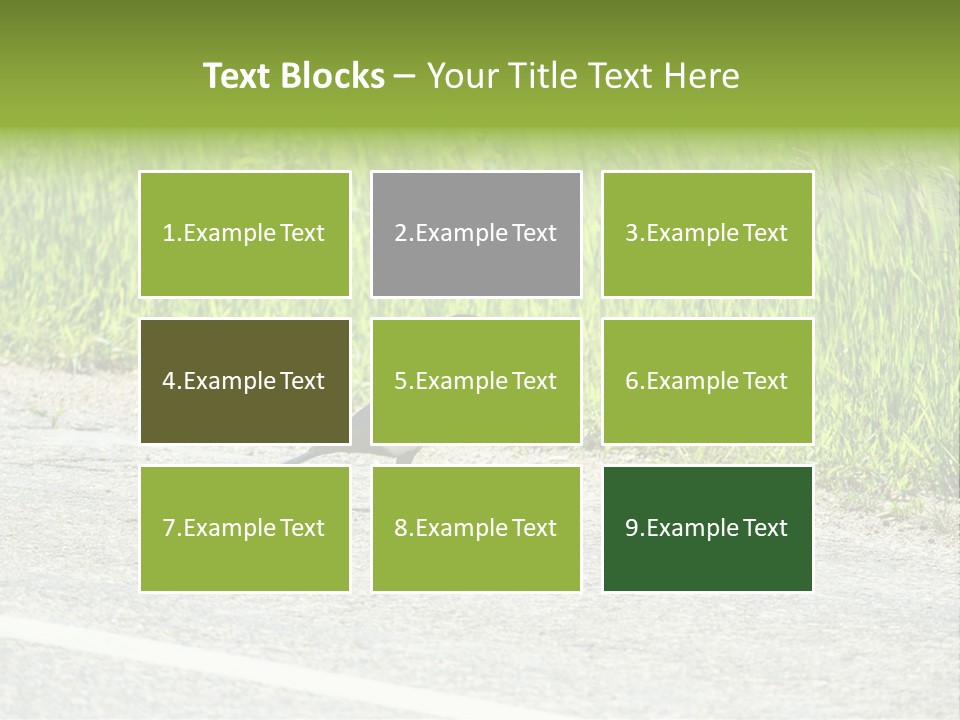 Magpie Highway Grass PowerPoint Template