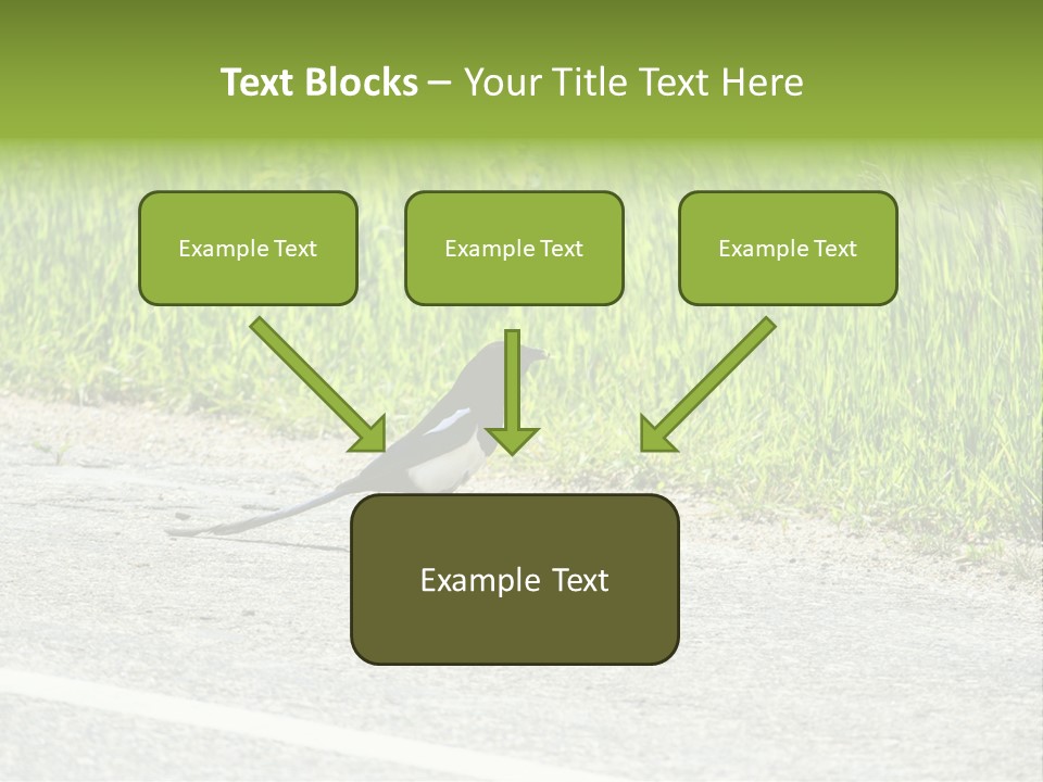 Magpie Highway Grass PowerPoint Template