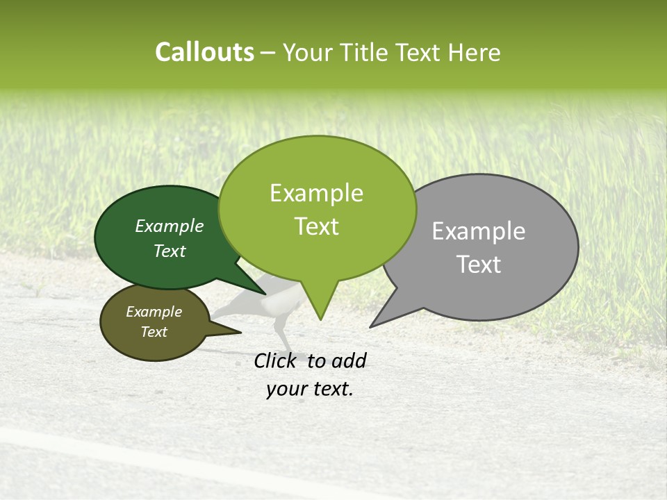 Magpie Highway Grass PowerPoint Template
