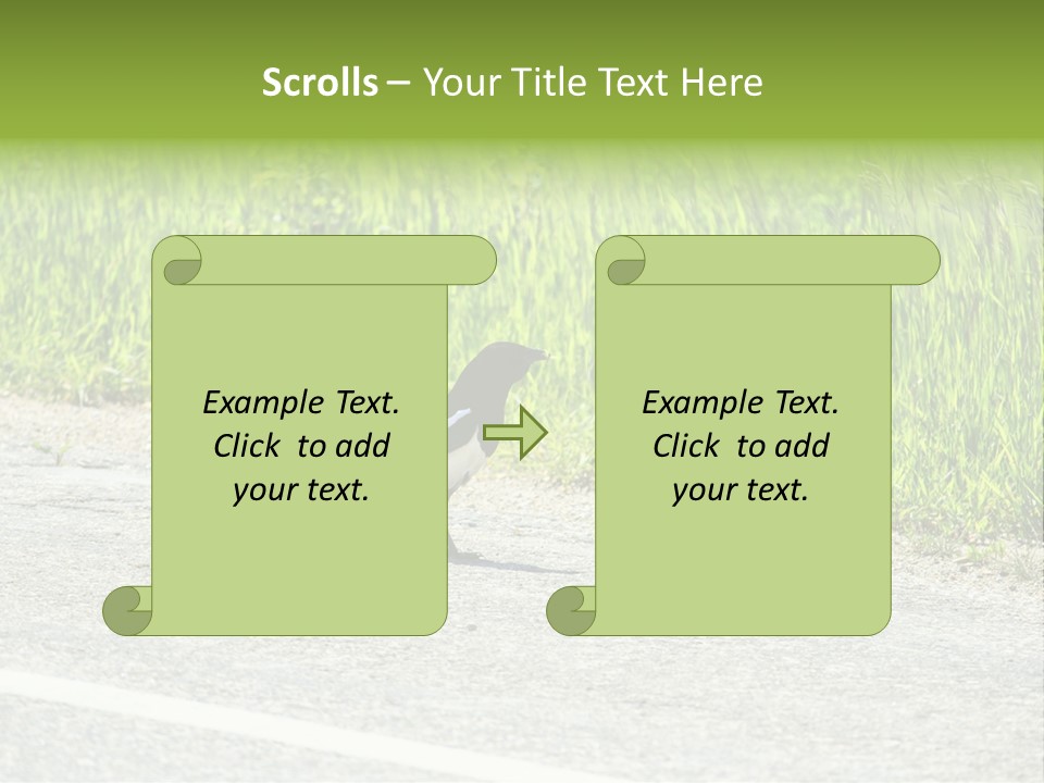 Magpie Highway Grass PowerPoint Template