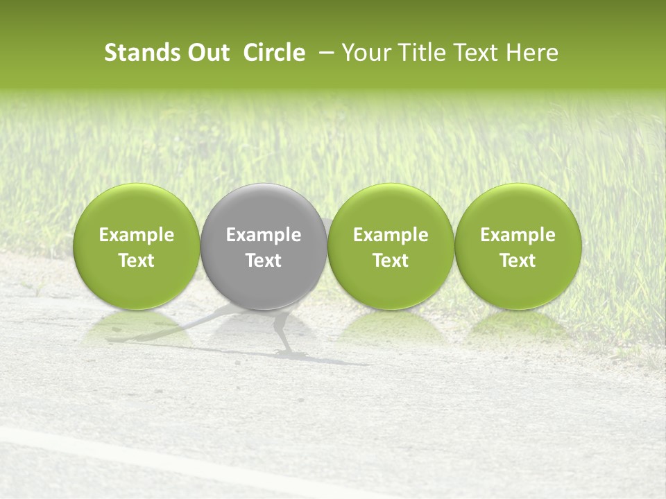 Magpie Highway Grass PowerPoint Template