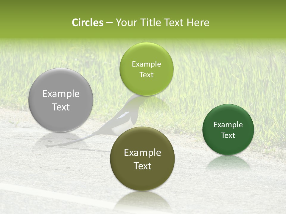 Magpie Highway Grass PowerPoint Template