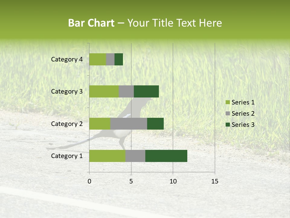 Magpie Highway Grass PowerPoint Template