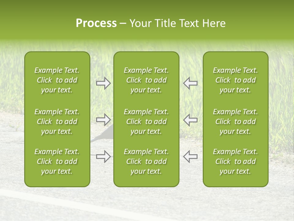 Magpie Highway Grass PowerPoint Template