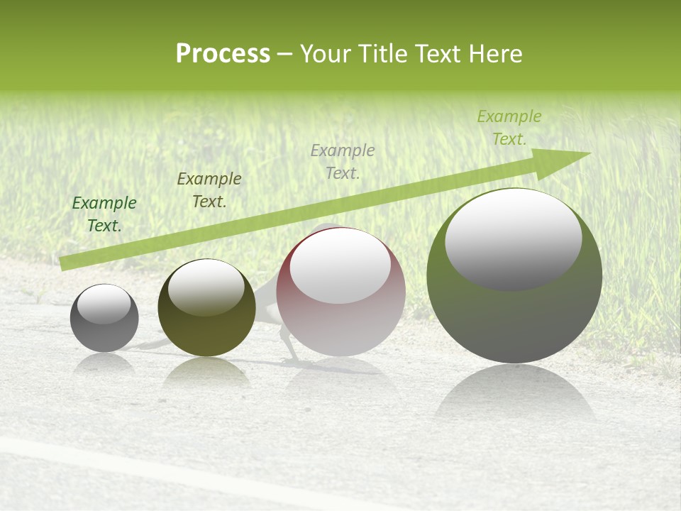 Magpie Highway Grass PowerPoint Template