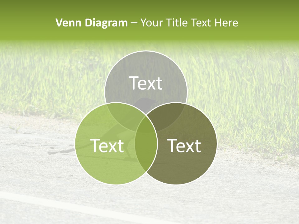 Magpie Highway Grass PowerPoint Template